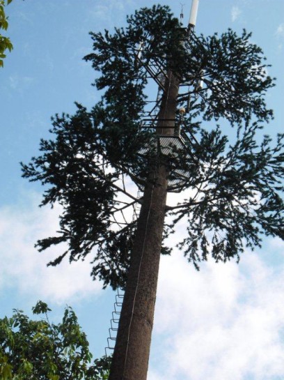 bionic pine tree tower