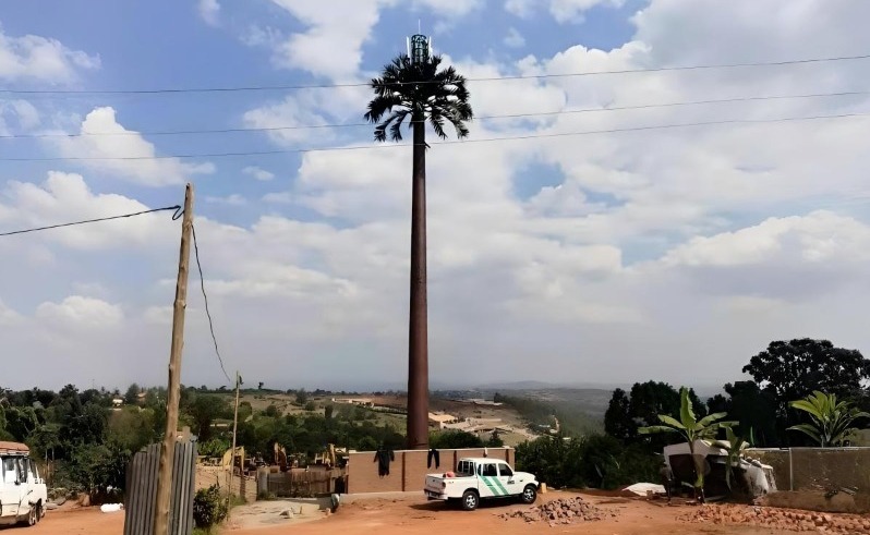 palm tree monopole