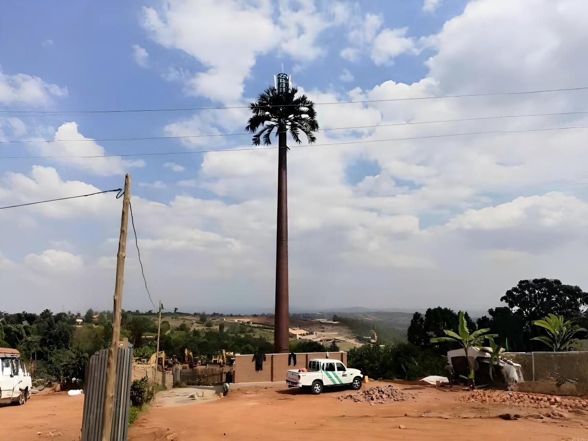 Mise en service officielle du monopole de palmiers exporté au Rwanda