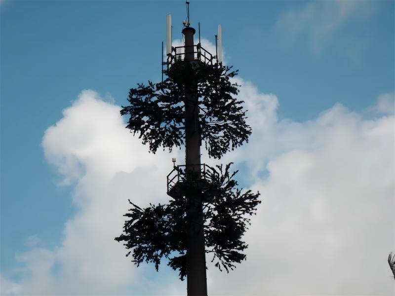 Tour de télécommunication en pin camouflé bionique aux États-Unis