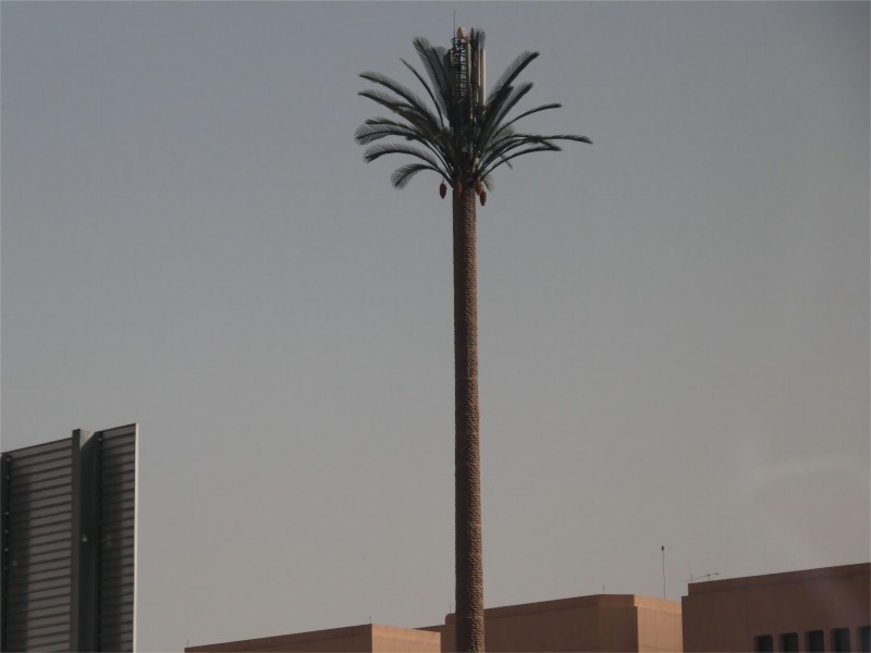 Tour de palmier camouflée exportant vers l'Arabie Saoudite